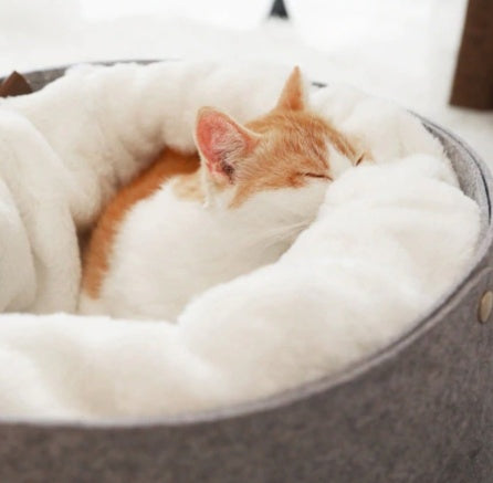Cozy Cat Bed House | Soft Warm Pet Nest for Cats & Small Dogs